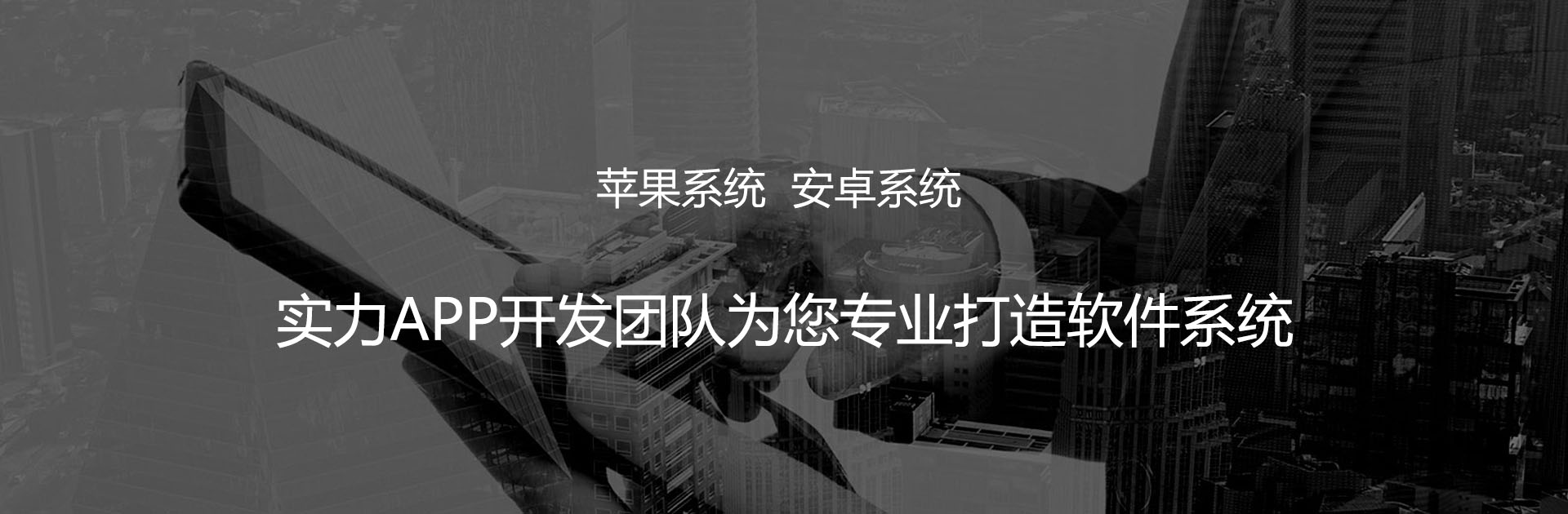 沈阳蓝德科技APP开发